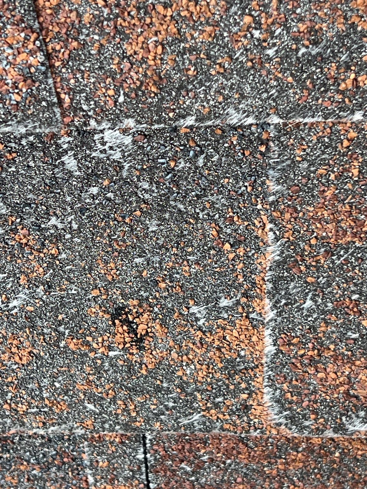 Shingle surface with granule loss and impact marks