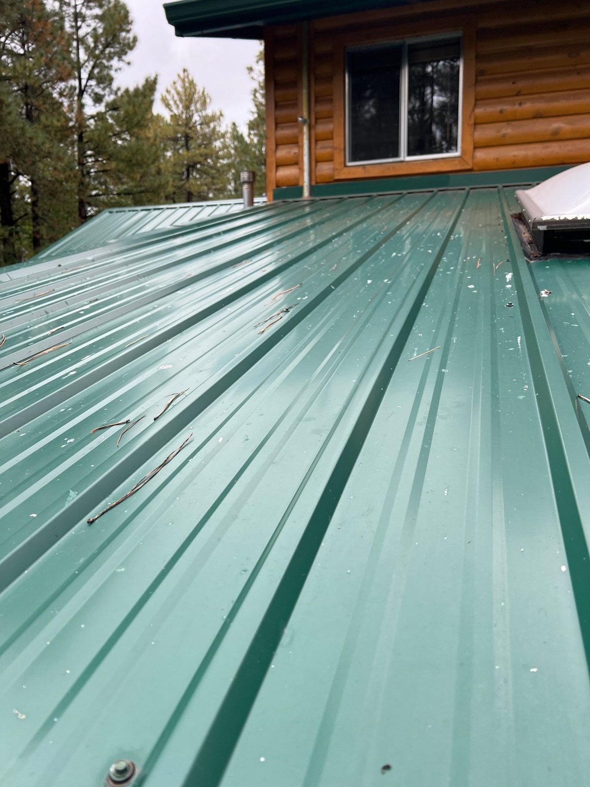 Metal roof panels on a mountain home