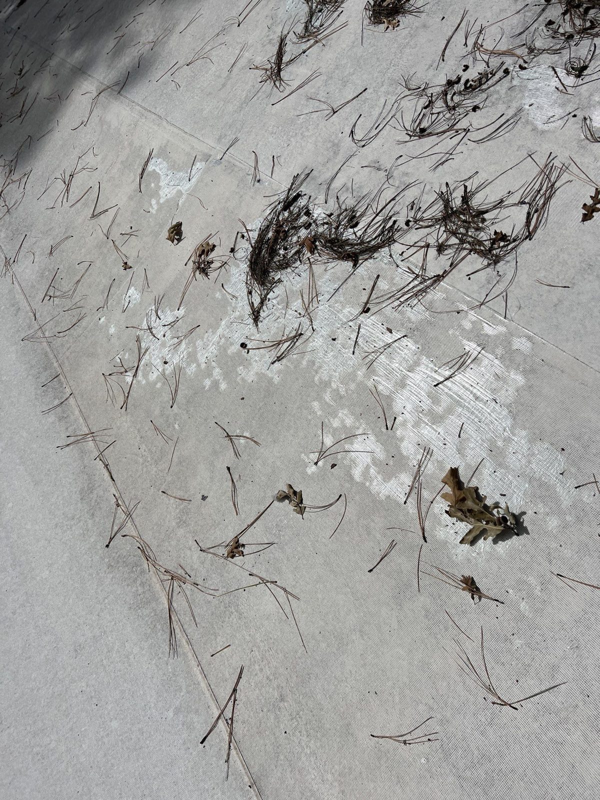 Damaged surface on a flat roof membrane