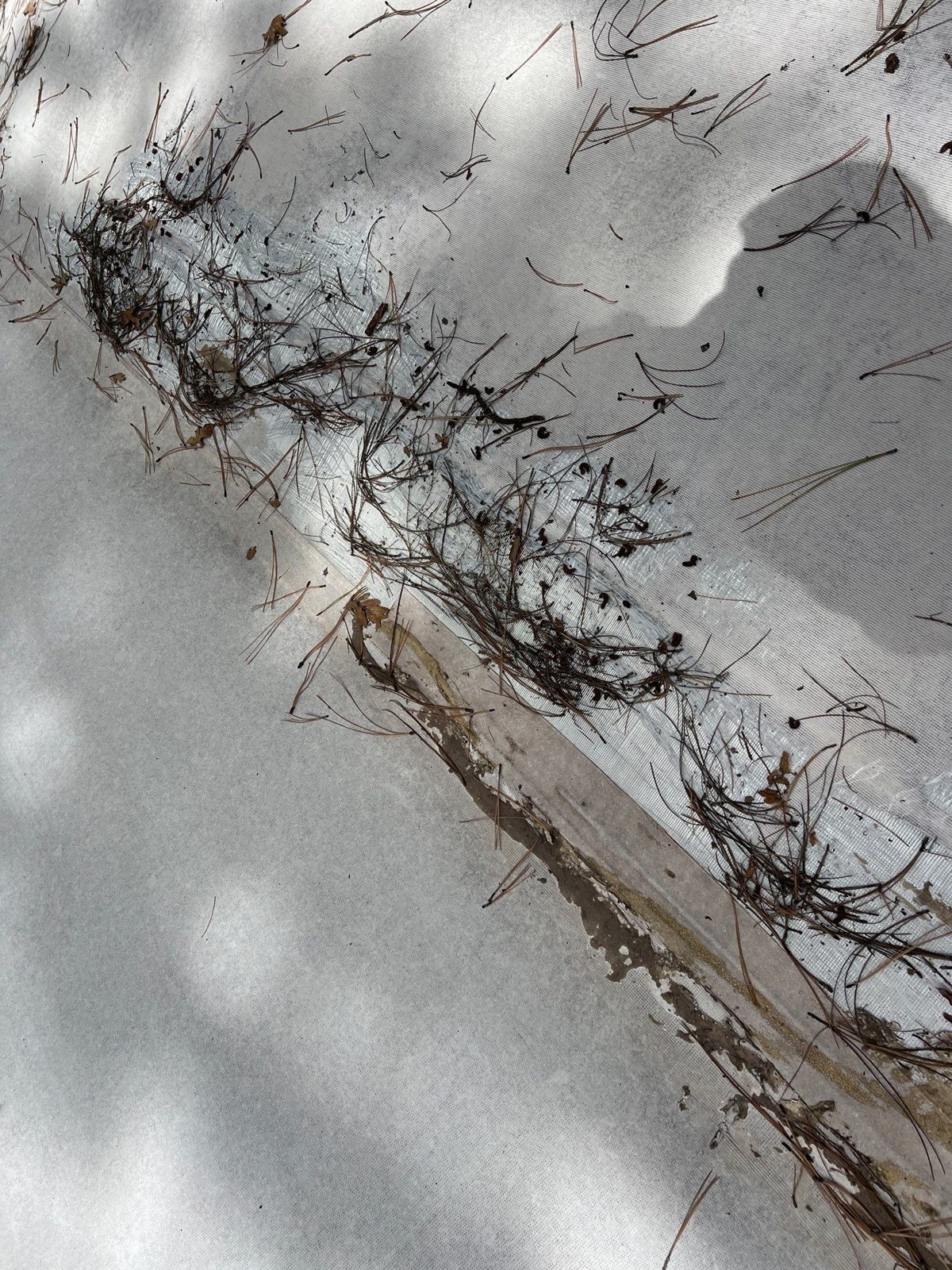 Cracked flat-roof membrane at the roof edge